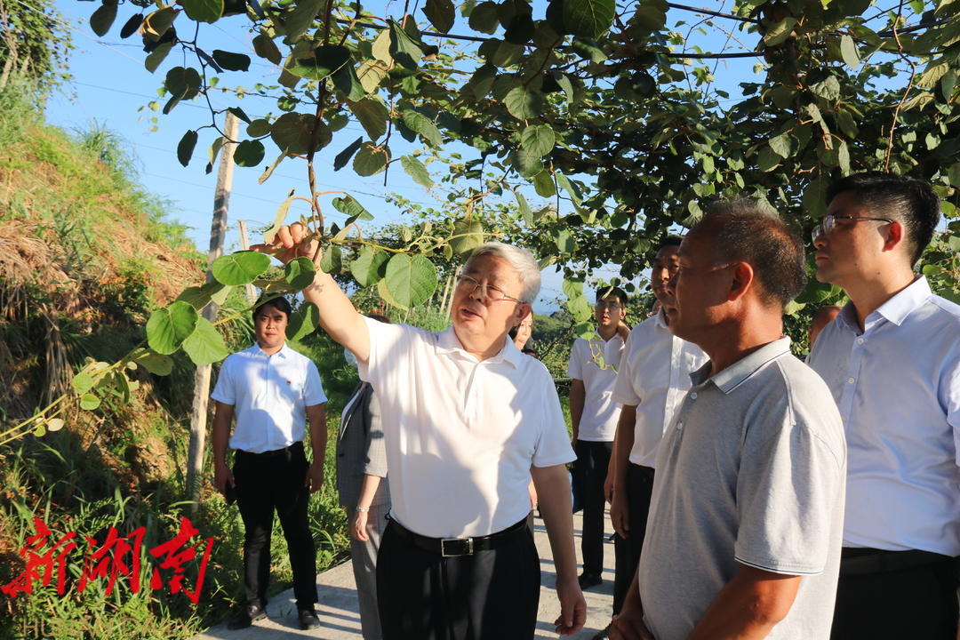 刘永富到城步调研数字乡村平台试点和乡村振兴工作_邵阳头条网
